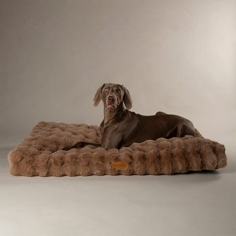 Alpine Mattress - Taupe Dog Beds Scruffs® 