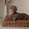 Alpine Mattress - Taupe Dog Beds Scruffs® 