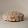 Alpine Cat Bed - Champagne Cat Bed Scruffs® 