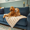 Aspen Dog Blanket - Modelled by Golden Retriever and a Miniature Poodle