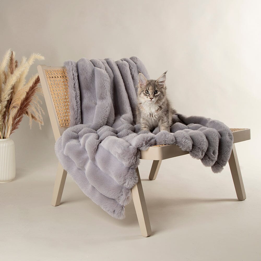 Aspen Pet Blanket for Dogs and Cats - Grey Dog Blanket 