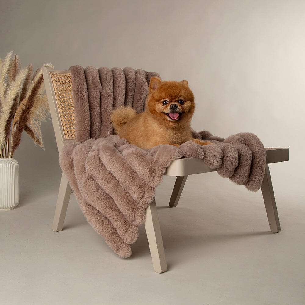 Aspen Pet Blanket for Dogs and Cats - Brown Dog Blanket 