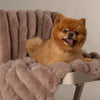 Aspen Brown Pet Blanket for Dogs and Cats - Modelled by Pomeranian