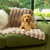 Aspen Brown Dog Blanket - Soft Dog Blanket 