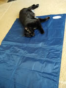 petslovescruffs Cool Mat - Blue Review