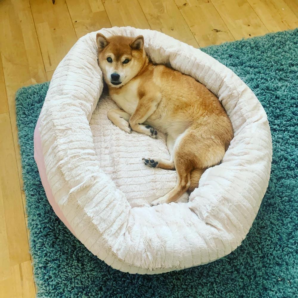 Ellen Donut Bed - Tan - Customer Photo From Monique Arama