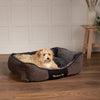 Chester Box Dog Bed - Graphite Grey Dog Bed Scruffs® 