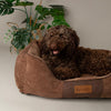 Chester Box Dog Bed - Chocolate Brown Dog Bed Scruffs® 