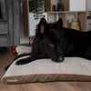 Chateau Orthopaedic Dog Mattress - Latte Dog Bed Scruffs® 