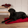 Noodle Dry Mat - Burgundy Dog Mat petslovescruffs 