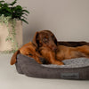 Cosy Soft-Walled Dog Bed - Grey Dog Bed Scruffs® 