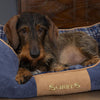 Highland Box Bed - Blue Dog Bed Scruffs® 