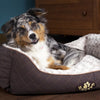 Wilton Box Dog Bed - Brown Dog Bed Scruffs® 