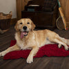 Noodle Dry Mat - Burgundy Dog Mat Scruffs® 