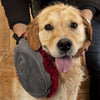 Noodle Dry Mitt - Burgundy Dog Grooming Scruffs® 