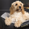 Windsor Box Dog Bed - Charcoal Dog Bed Scruffs® 