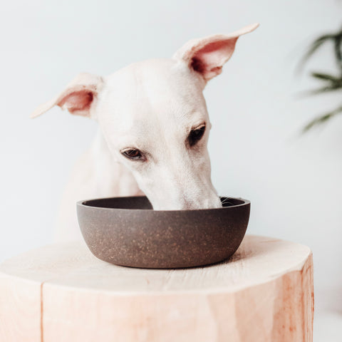 Scruffs® Becomes Official UK Distributor of "District 70" Dog Bowls & Accessories