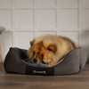 Chester Box Dog Bed - Graphite Grey Dog Bed Scruffs® 