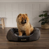 Chester Box Dog Bed - Graphite Grey Dog Bed Scruffs® 