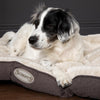 Ellen Dog Mattress - Grey Dog Bed Scruffs® 