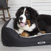 Expedition Box Bed - Graphite Grey Dog Bed Scruffs® 