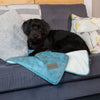 Knightsbridge Blanket - Turquoise Dog Blanket Scruffs® 