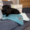 Knightsbridge Blanket - Turquoise Dog Blanket Scruffs® 