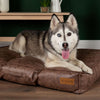 Knightsbridge Mattress - Chocolate Dog Bed Scruffs® 