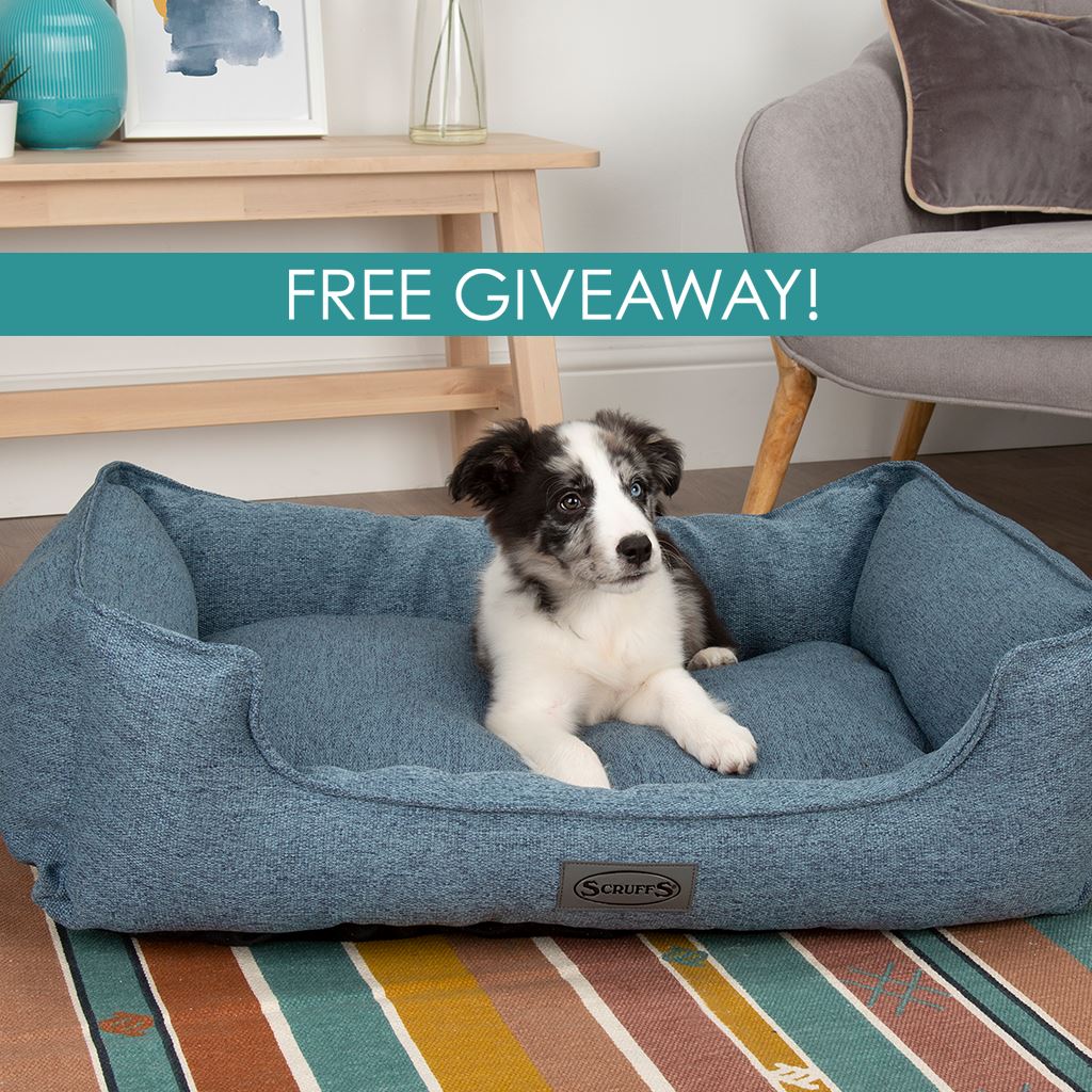 WIN a New Scruffs® Manhattan Bed this April