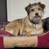 Highland Box Bed - Red Dog Bed Scruffs® 