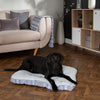 Santa Paws Mattress - Grey Dog Bed Scruffs® 